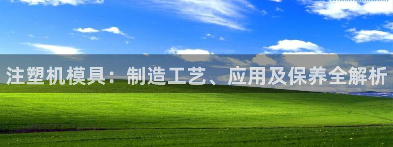 太阳集团注册就送38：注塑机模具：制造工艺、应用及保养全解析