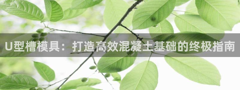 太阳集团高科技发展有限责任公司：U型槽模具：打造高效混凝土基础的终极指南